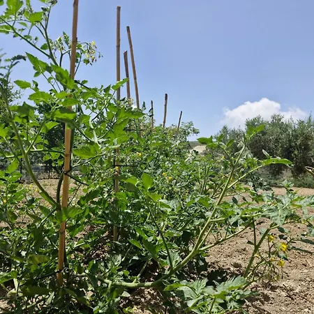 Dom wakacyjny Anesis House