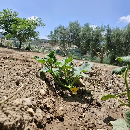 Anesis House * Stroumbi