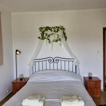 Dom wakacyjny Anesis House