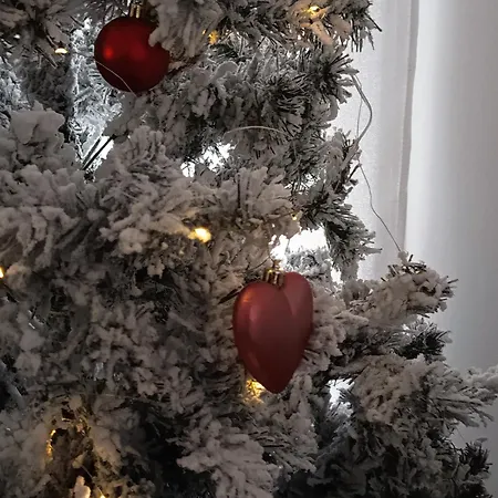 Anesis House Дом отдыха *