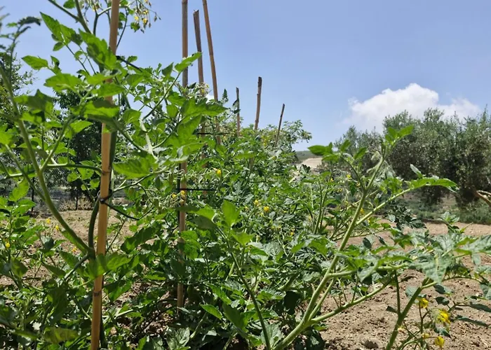 Semesterbostad Anesis House