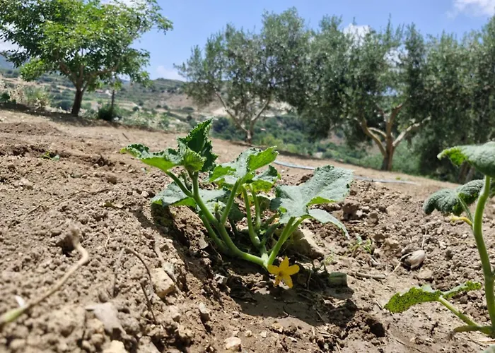 Anesis House * Stroumbi